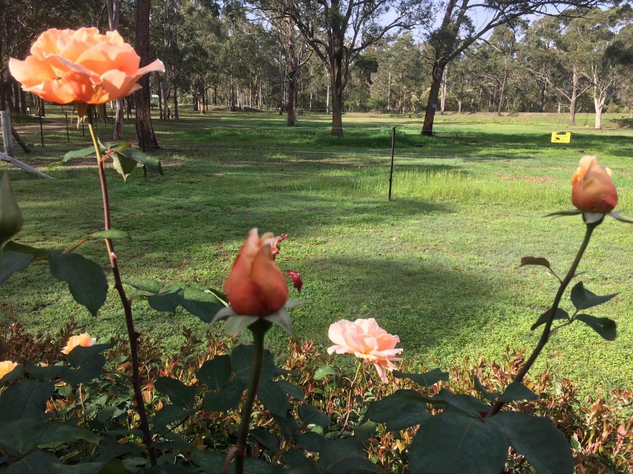Hunter Valley Retreat Quorrobolong Zewnętrze zdjęcie
