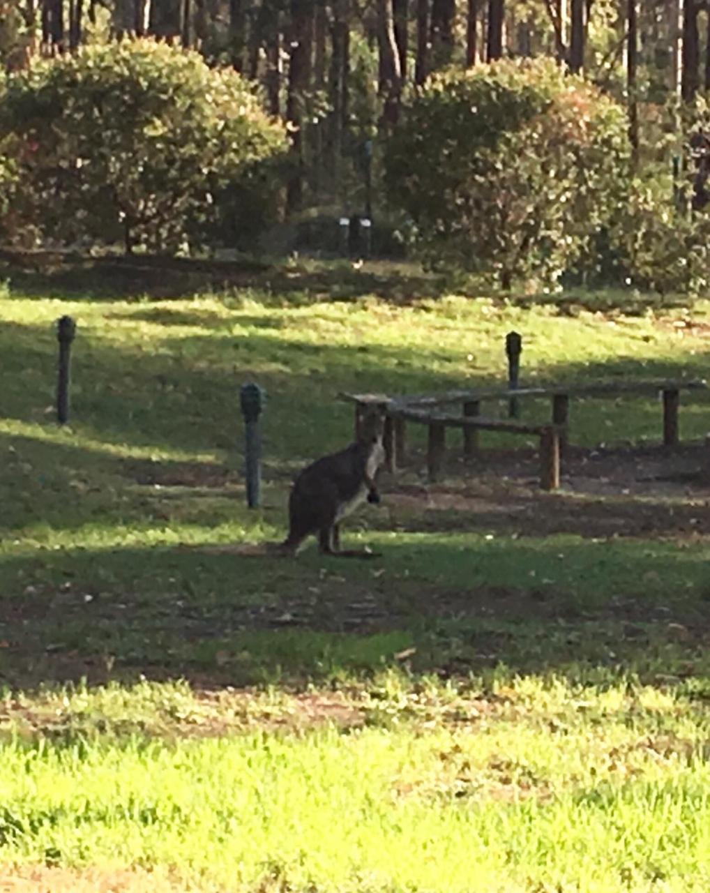 Hunter Valley Retreat Quorrobolong Zewnętrze zdjęcie