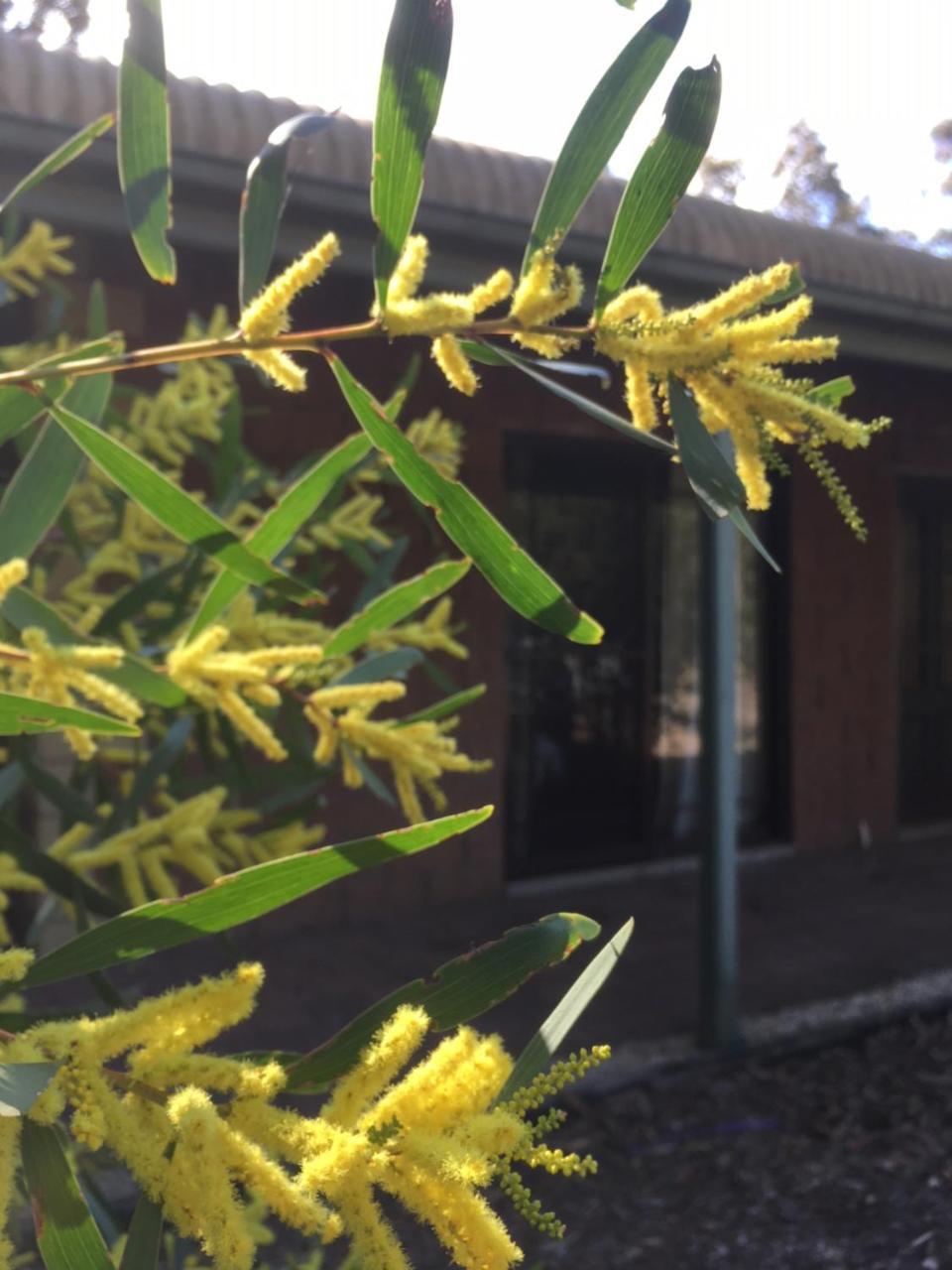 Hunter Valley Retreat Quorrobolong Zewnętrze zdjęcie