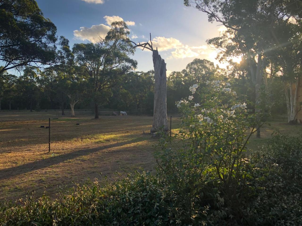 Hunter Valley Retreat Quorrobolong Zewnętrze zdjęcie